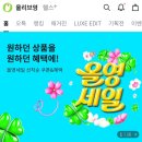 올리브영 3월 세일 추천템 쿠폰 사용 후기