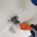 서초 세탁 | 서초구 카페트세탁 얼룩 때 오염제거 잠원동