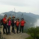 부안남초등학교 이미지