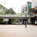 더힐링카페(the healing cafe) 이미지