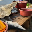 엄마손 찹쌀 꽈배기 | 포항 죽도시장 먹거리 직접 먹어본 후기