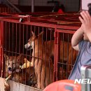 황구건강원 이미지