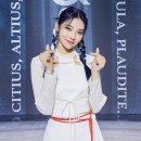 진솔주