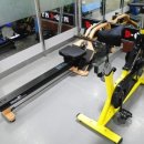 D gym 퍼스널트레이닝 이미지