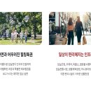 임실군청(임실읍사무소) 이미지