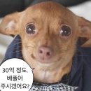 마통 | 마키나락스 배정결과🍀 | 마통영끌해서 넣은 배정후기