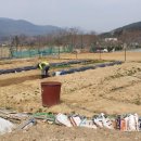 장전농장 이미지