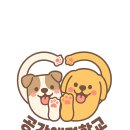 공감애견학교 이미지