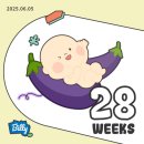 태동푸드하우스 | 28주 입체초음파, 임산부 백일해 예방접종, 딸꾹질 태동, 아기 육아용품 선물 추천, 성심당 망고시루...