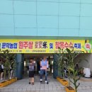 문막농협 | 원주축제 원주 문막찰옥수수축제 후기