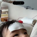 이오스시