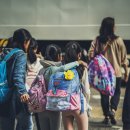 머꼬갈래 이미지