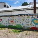 정선초등학교 이미지