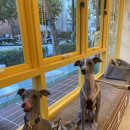 망원휴개소 이미지