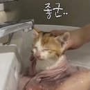 문화육교 밑 | 닌자가 될래