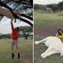 아프리카펫센터 이미지