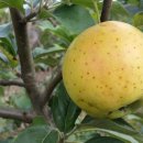 천운농장 이미지