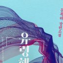 유령해마 후기