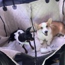 스테이온더힐 이미지