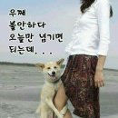 닭방 이미지