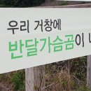 거창-마리-1 이미지