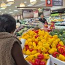 조리나코너 이미지