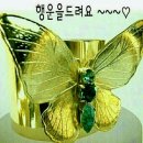 양구 나비야 이미지