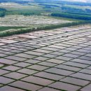 옛고구려 이미지