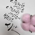 KD평생교육원 이미지