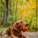 365 마음동물병원 이미지