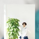 스프링크로커스
