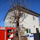 지곡전원 | 충주하수구막힘 시부모님댁 전원주택 제대로 해결한 후기