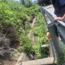 영동의원 이미지