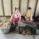 메로스(meros) | #12중앙아시아여행 ㆍ우즈베키스탄(종이공장&amp;모네카페)