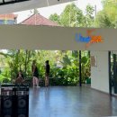 청구헬스클럽 | 우붓 한달살기 비용 | 3월 실제 생활비 공개 (숙소·식비·교통 등)