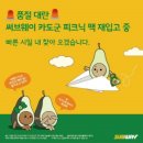 카도 - 성남시 분당구 판교역로 184 | 카도