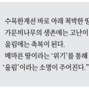 가문비나무아래 이미지