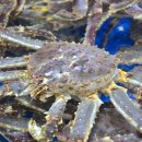 대명냉동 이미지