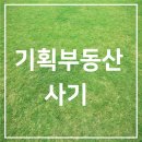 화랑기획 이미지