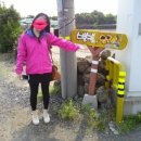 별별,당근이야기 이미지