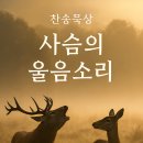 큐티