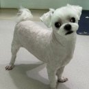 아지공간 이미지