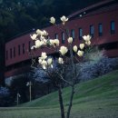 한국노총교육원 이미지