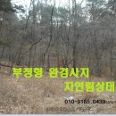 여주-0506 이미지