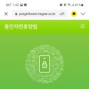 용인자연휴양림 광장 이미지