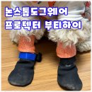 신기지 | 강아지 염화칼슘 걱정 끝｜논스톱도그웨어 프로텍터 부티하이 강아지 신발 내돈내산 후기