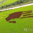 광복카메라