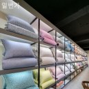 가구일번가