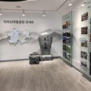 지리산자연펜션