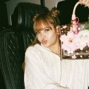 크라이베이비 이미지